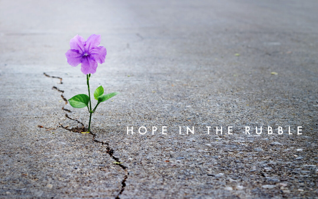 Hope in the Rubble